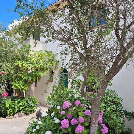 Joli Appartement Climatise Avec Terrasse A Moin 10 Minutes A Pieds De La Plage Calvi  Extérieur photo