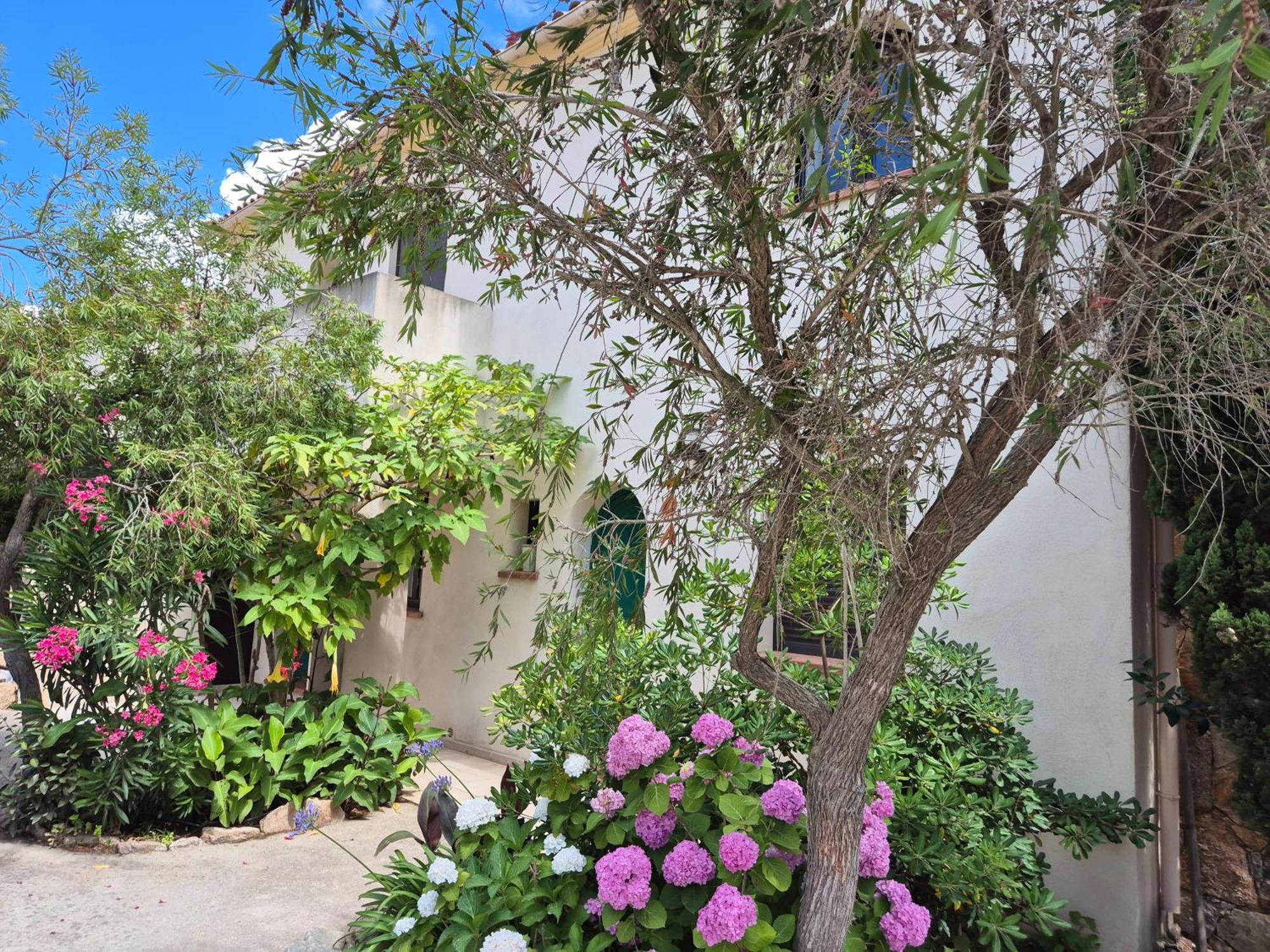 Joli Appartement Climatise Avec Terrasse A Moin 10 Minutes A Pieds De La Plage Calvi  Extérieur photo